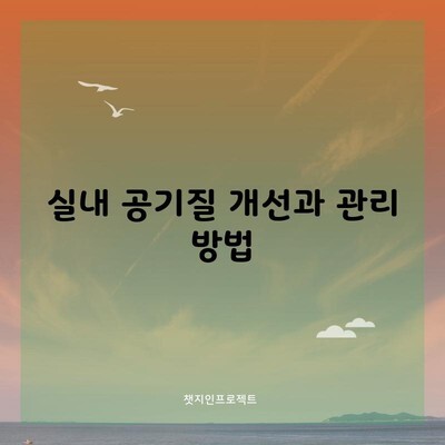 실내 공기질 개선과 관리 방법