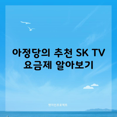 SK TV 요금제 선택방법,