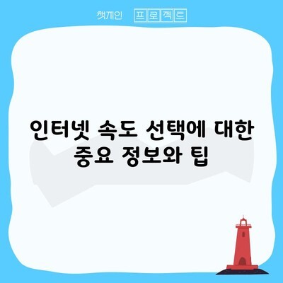 인터넷 속도 선택에 대한 중요 정보와 팁