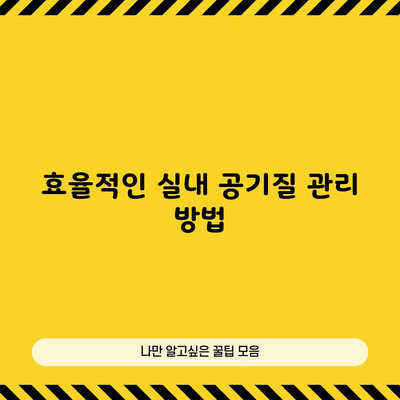 효율적인 실내 공기질 관리 방법