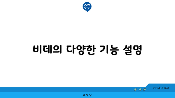 비데의 다양한 기능 설명