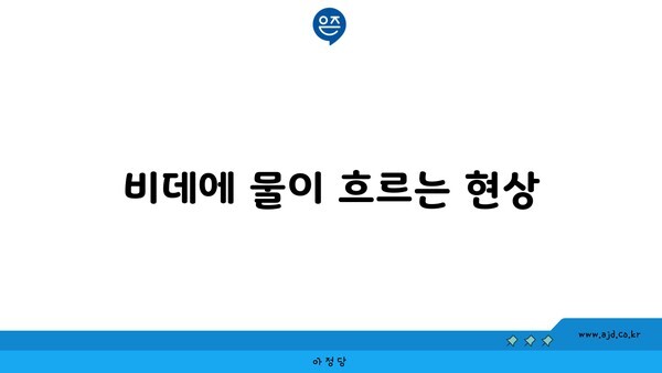 비데에 물이 흐르는 현상