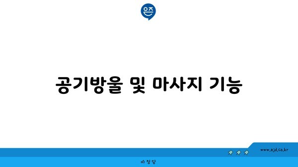 공기방울 및 마사지 기능