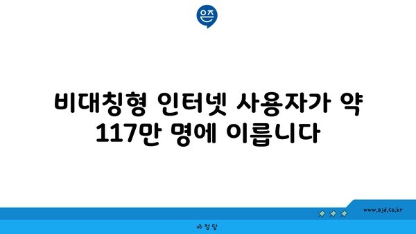 비대칭형 인터넷 사용자가 약 117만 명에 이릅니다