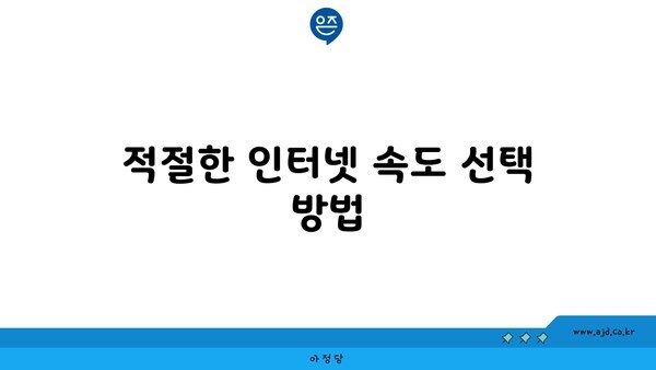 적절한 인터넷 속도 선택 방법