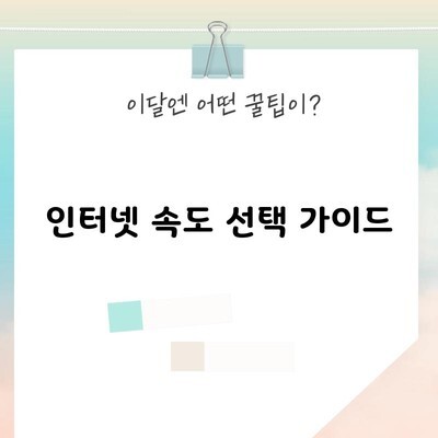 인터넷 속도 선택 가이드