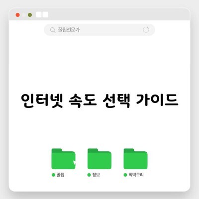 인터넷 속도 선택 가이드