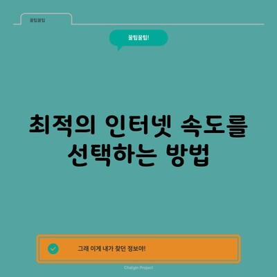 최적의 인터넷 속도를 선택하는 방법