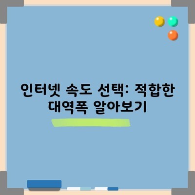 인터넷 속도 선택: 적합한 대역폭 알아보기