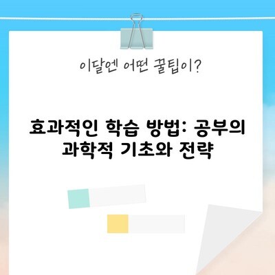 효과적인 학습 방법: 공부의 과학적 기초와 전략