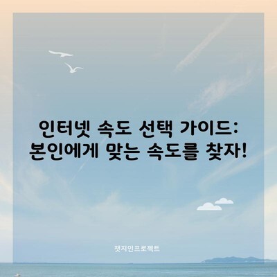 인터넷 속도 선택 가이드: 본인에게 맞는 속도를 찾자!