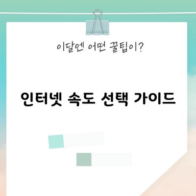 인터넷 속도 선택 가이드