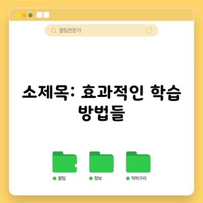 소제목: 효과적인 학습 방법들