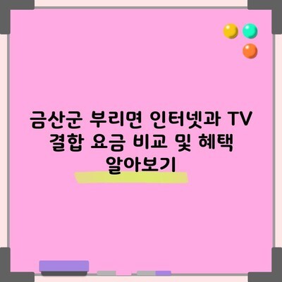 금산군 부리면 인터넷과 TV 결합 요금 비교 및 혜택 알아보기