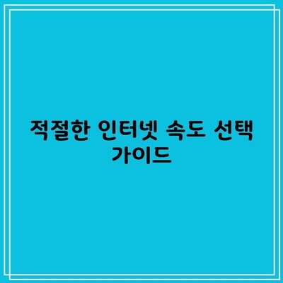 적절한 인터넷 속도 선택 가이드