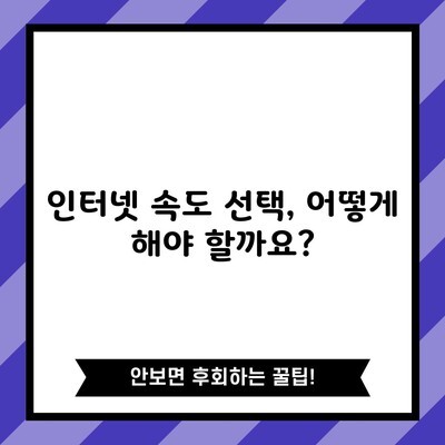 인터넷 속도 선택, 어떻게 해야 할까요?