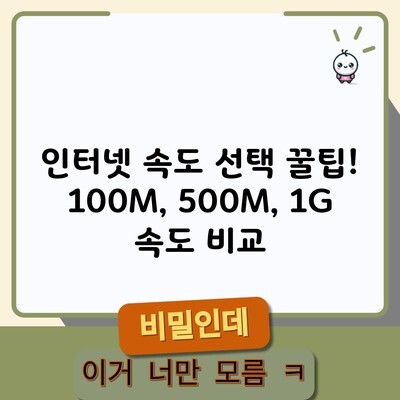 인터넷 속도 선택 꿀팁! 100M, 500M, 1G 속도 비교