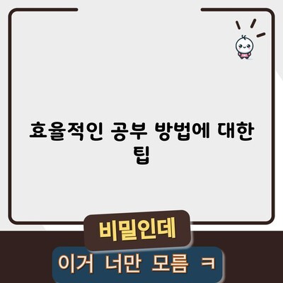 효율적인 공부 방법에 대한 팁