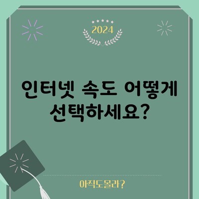 인터넷 속도 어떻게 선택하세요?