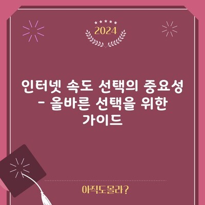 인터넷 속도 선택의 중요성 – 올바른 선택을 위한 가이드