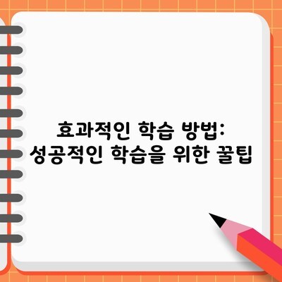 효과적인 학습 방법: 성공적인 학습을 위한 꿀팁