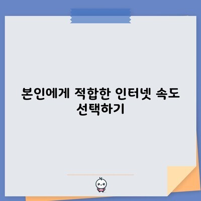 본인에게 적합한 인터넷 속도 선택하기