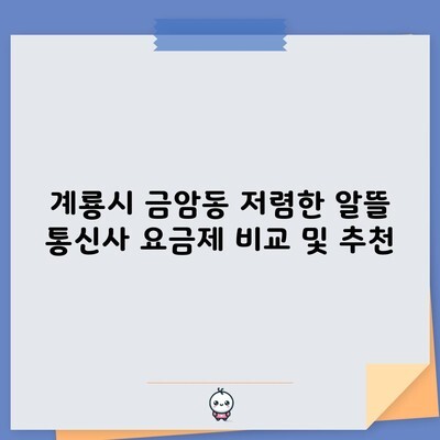 계룡시 금암동 알뜰 통신사 요금제 비교 및 추천