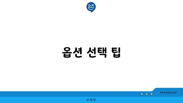 옵션 선택 팁