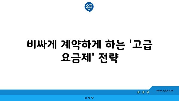 비싸게 계약하게 하는 '고급 요금제' 전략