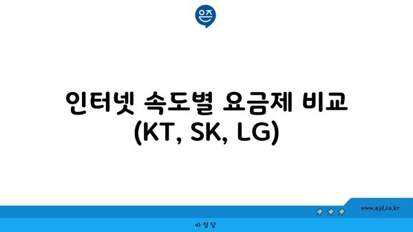 인터넷 속도별 요금제 비교 (KT, SK, LG)