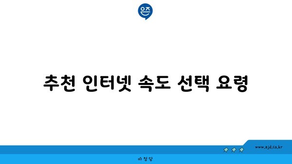 추천 인터넷 속도 선택 요령