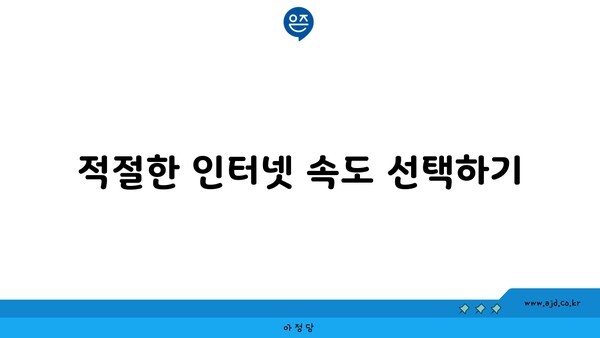 적절한 인터넷 속도 선택하기