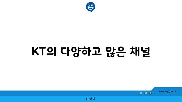 KT의 다양하고 많은 채널