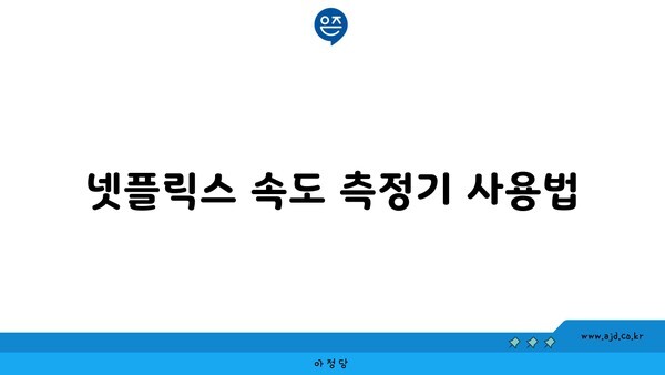 넷플릭스 속도 측정기 사용법