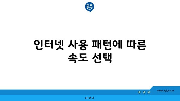 인터넷 사용 패턴에 따른 속도 선택