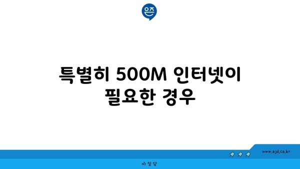 특별히 500M 인터넷이 필요한 경우