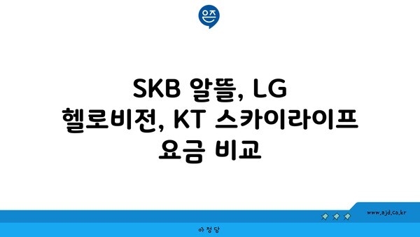 SKB 알뜰, LG 헬로비전, KT 스카이라이프 요금 비교