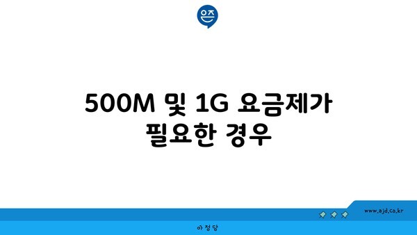 500M 및 1G 요금제가 필요한 경우