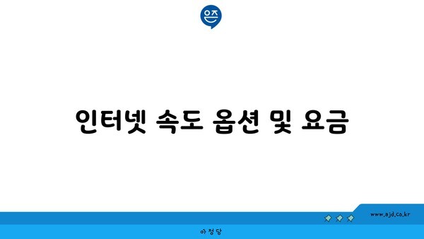 인터넷 속도 옵션 및 요금