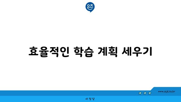 효율적인 학습 계획 세우기