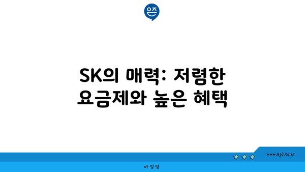 SK의 매력: 저렴한 요금제와 높은 혜택