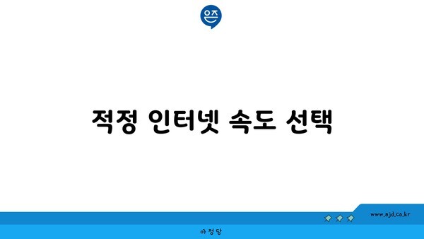 적정 인터넷 속도 선택