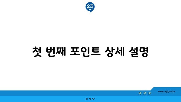 첫 번째 포인트 상세 설명