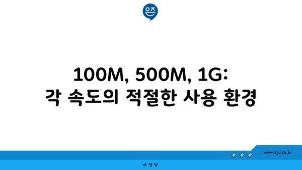 100M, 500M, 1G: 각 속도의 적절한 사용 환경