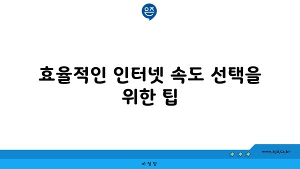 효율적인 인터넷 속도 선택을 위한 팁