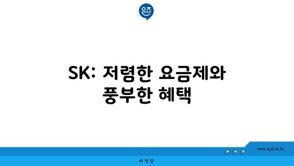 SK: 저렴한 요금제와 풍부한 혜택