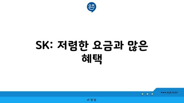 SK: 저렴한 요금과 많은 혜택