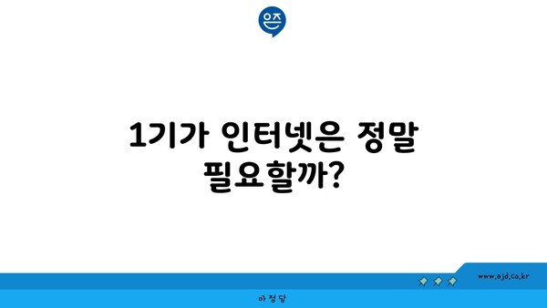 1기가 인터넷은 정말 필요할까?