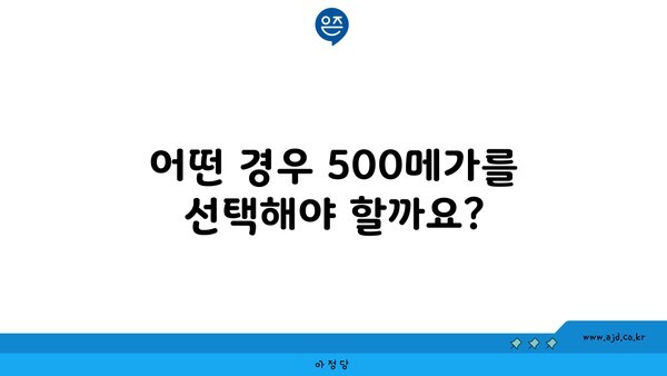 어떤 경우 500메가를 선택해야 할까요?