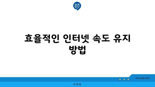 효율적인 인터넷 속도 유지 방법